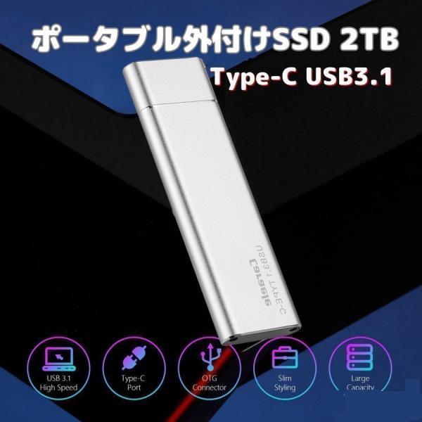 ポータブル2TB外付けSSDソリッドステートドライブ 外付けハードドライブ TypeC USB3.1 コンパクト シルバー