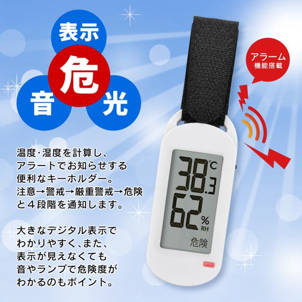 more-create_20250625-ne_5_d_20250625110954