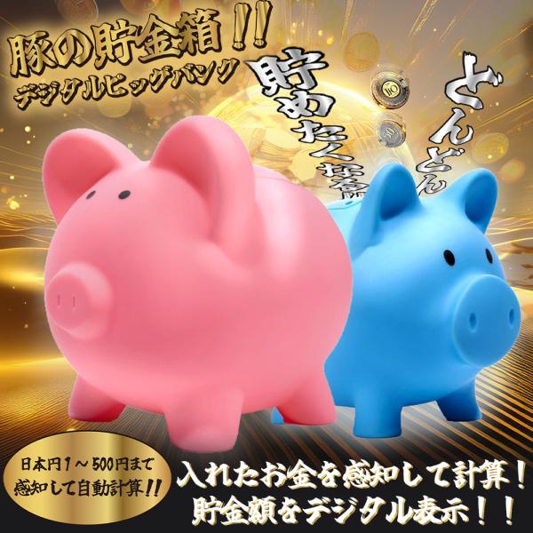 more-create_20250723-buta