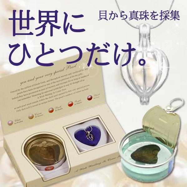 ❤︎真珠貝❤︎世界にひとつ❤︎ 貝から採取 ネックレス 真珠缶 母の日 プレゼント 世界に1つ
