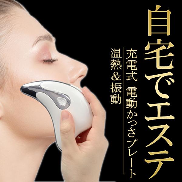 美顔器 カッサ 美顔 たるみケア 頭皮ケア 即 自宅エステ 充電 EMS 簡単 美顔器 カッサ 美顔 たるみケア 頭皮ケア 即 自宅エステ 充電
