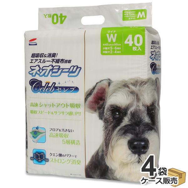 P[X@Y@R[`[@^@lIV[c Zu@L/NG_@Ch@160 (404)@ybgV[c@O[@Celeb@Ɩp