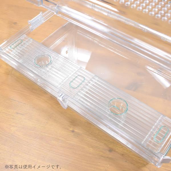 専用　シェリースキンウォーターH箱無し GEX GEX Harmony ハーモニーランウェイ 600 小動物 ハムスター