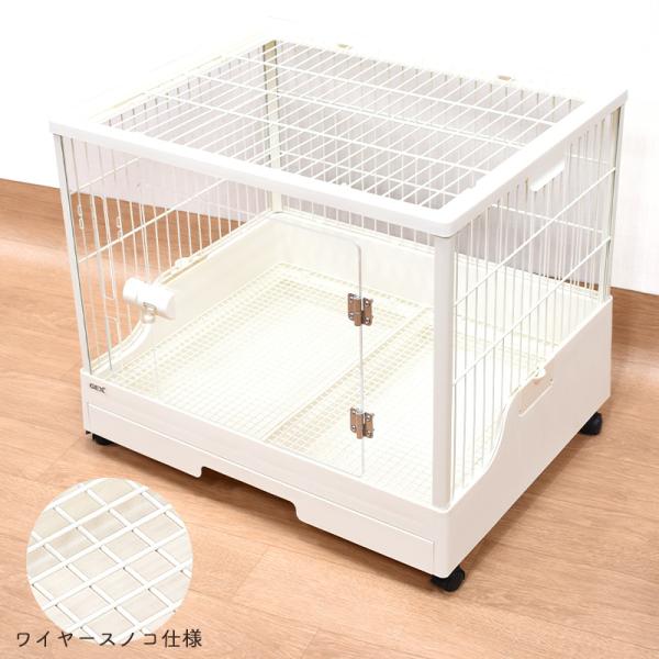 うさこ morepets_4972547045980