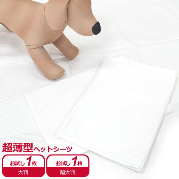 サンプル　超薄型ペットシーツ　介護用ペットシーツ　大判　98×98cm　1枚 / 超大判　128×98cm　1枚