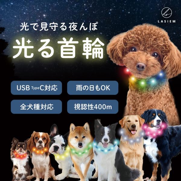 光る首輪 犬用 レインボー usb 充電 首輪 犬 猫 大型犬 小型犬 ペット LED ライト ラシエム