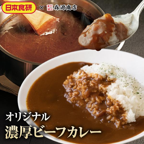 カレー レトルト 食研カレー 180g×5袋 5人前 冷凍 中辛 業務用 レトルト 日本食研