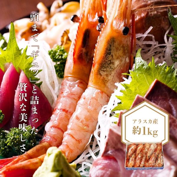 父の日指定ok ぼたん海老1kg 特大サイズ アラスカ産 刺身 生 海老 エビ ボタンエビ 卵 生エビ 送料無料 冷凍便 お取り寄せ お中元 父の日 Buyee Buyee Japanese Proxy Service Buy From Japan Bot Online