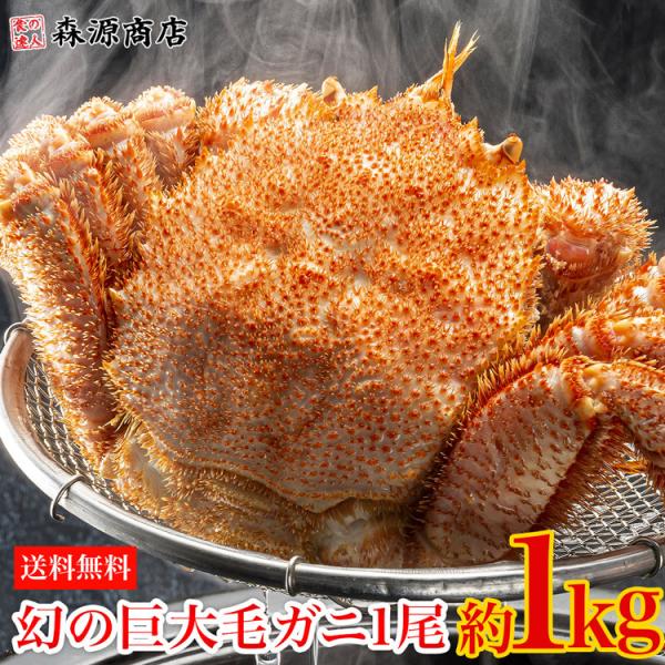 уKj kCY 1kg 1  ̋уKj Mtg O I  Jj