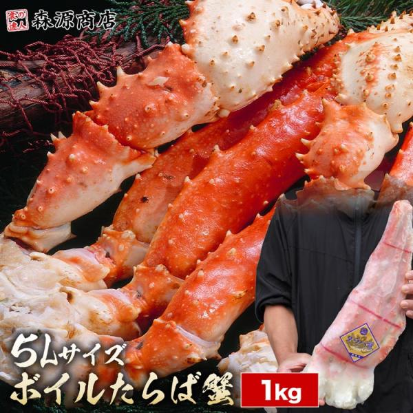5L ボイル たらばシュリンク 1肩 約1kg かに 蟹 タラバ 足 肩 ギフト セクション 肩肉 タラバガニ