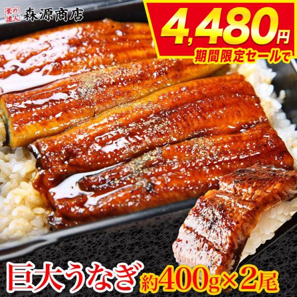 ○巨大うなぎ蒲焼！これぞビックリ！！本当に大きい！脂がのった巨大うなぎをじっくりと焼き上げました♪レンジで温めるだけ、フライパンで蒸し焼、湯煎もできるので、是非活用してください。付属のたれや山椒をおまけでお付けしております。お好みでかければ...