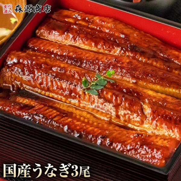 ＜商品説明＞○お店で食べるような味をご家庭で！国産の鰻をじっくりと焼き上げ。真空パックで美味しさを閉じ込めてお届けします！1尾150g以上と大サイズ！お店で食べるような味を是非ご家庭で。