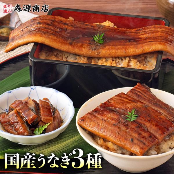 ＜商品説明＞◯安心安全の国産鰻うなぎ養殖は一般的には何種類かの薬品が使われていますが、山田水産の「鰻師」が完全無投薬という他に類を見ない方法で育てあげた鰻だから安心・安全！◯ふっくら秘伝のタレの味を急速冷凍ガス火と炭火を使ってじっくり焼き上...