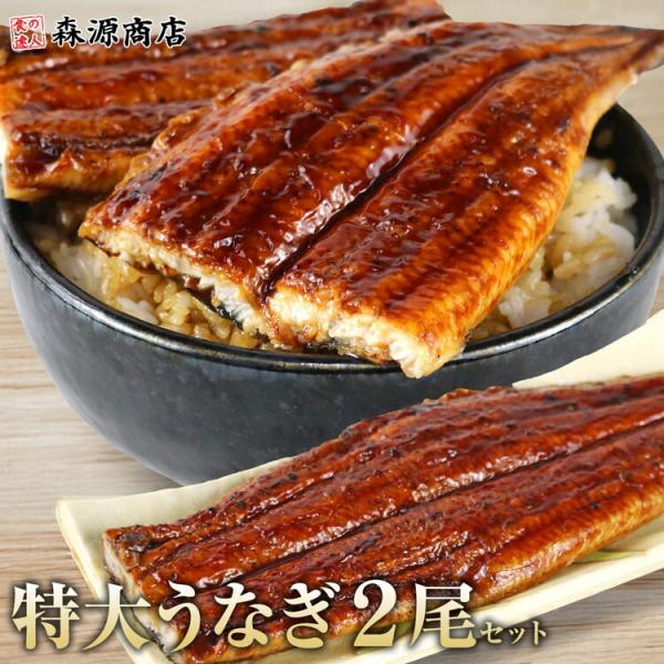 ＜商品説明＞◯1尾で約200g！驚きの特大サイズうなぎ一般的に、うなぎ1人前の目安は約80g〜100gと言われていますが、こちらはなんと1尾で約200gの特大サイズ！まさに通常の約2倍のボリュームで、食べごたえは抜群。ふっくら肉厚で、とろけ...