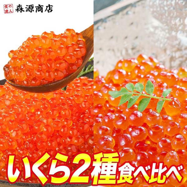 ＜商品説明＞○サーモントラウトと紅鮭いくらの食べ比べセット！鮮度抜群サーモントラウトのいくら醤油漬けは粒はかなり小さく見た目は鱒いくらのようなのですがシャバシャバせずサーモンの脂でねっとりと美味しさが絡みつきます。養殖場で水揚げ直後に加工に...