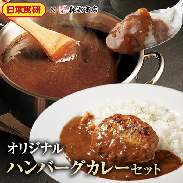 ハンバーグカレー セット 10食分 180g×10袋 10人前 冷凍 中辛 業務用 レトルト 日本食研