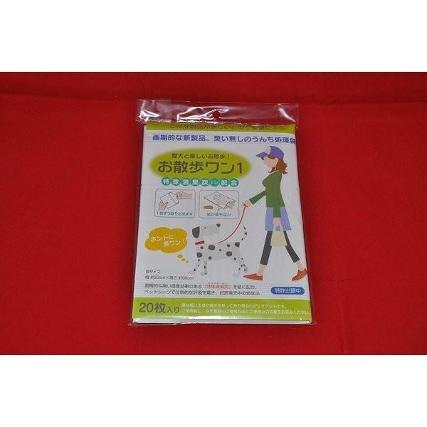 UPiƊyU@LYzŃzgɏL@L̂񂿏܁j