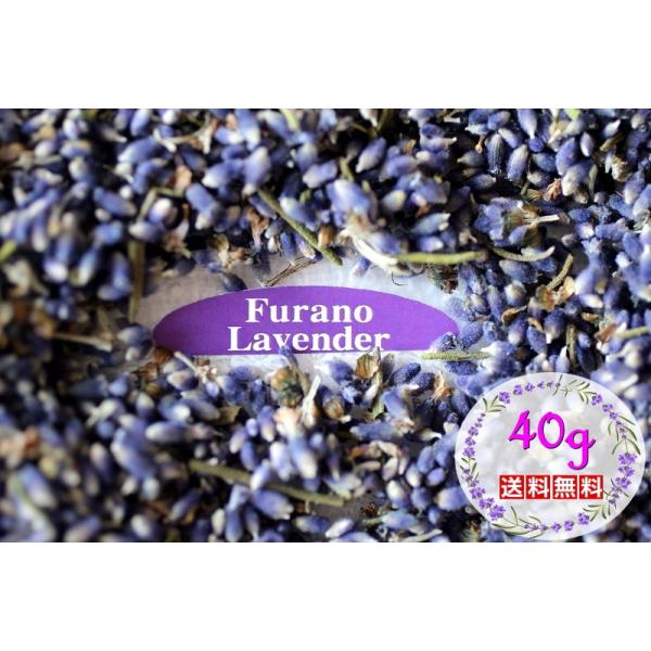 送料無料 ラベンダーポプリ 富良野 から イングリッシュ ラベンダー ポプリ40g スタンダード ベーシックな香り Buyee Buyee บร การต วกลางจากญ ป น ซ อจากประเทศญ ป น