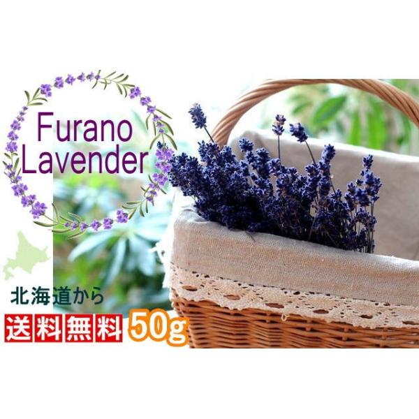 ドライフラワー ラベンダー 富良野 50g 数量限定 送料無料 北海道から 女性に人気ドライフラワー Buyee Buyee 日本の通販 商品 オークションの代理入札 代理購入