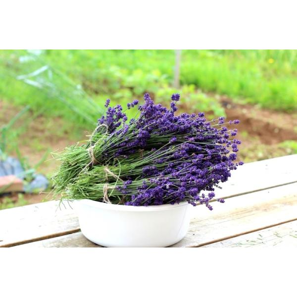 ポプリ 送料無料 ラベンダーポプリ 富良野 イングリッシュ ラベンダー ポプリ40g 巾着 サシェ クリックポスト便 Buyee Buyee 提供一站式最全面最專業現地yahoo Japan拍賣代bid代拍代購服務 Bot Online