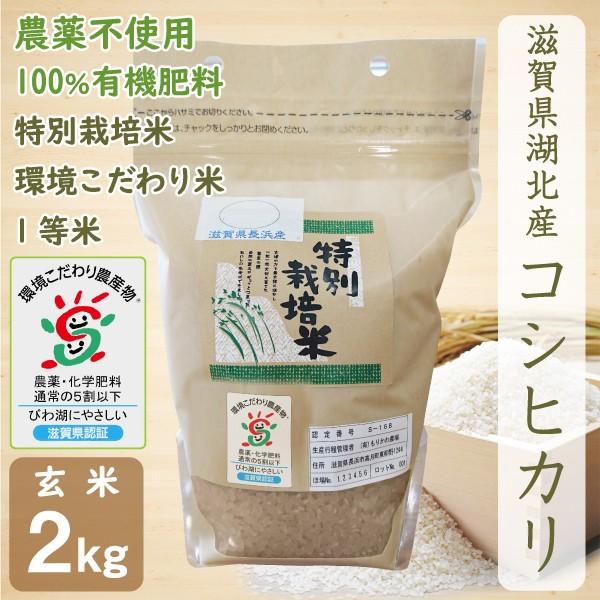 新米 無農薬 コシヒカリ 2kg 令和6年産 玄米 農薬不使用 100％有機  