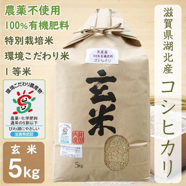 【送料無料】農薬・化学肥料不使用　令和7年度産　滋賀県産大豆10kg 送料無料】農薬・化学肥料不使用 令和7年度産 滋賀県産大豆
