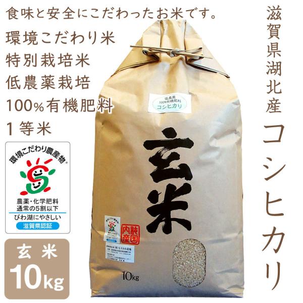 コシヒカリ 低農薬 10kg 令和7年産 玄米 100％有機肥料 特別栽培米