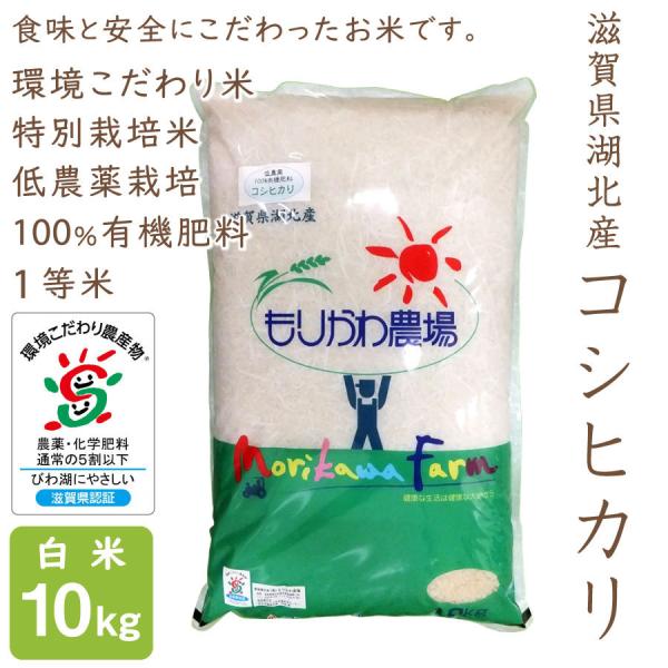 コシヒカリ 低農薬 10kg 令和6年産 白米 100％有機肥料 特別栽培米