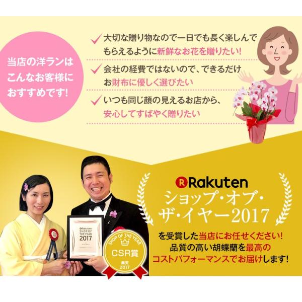 新発売 季節限定 ランの女王カトレア仕立て ミニカトレア ハウヤンオレンジ マリンポット鉢 陶器鉢花 Buyee Buyee 日本の通販商品 オークションの代理入札 代理購入