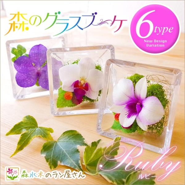 枯れない洋ラン『国産ボトルフラワー「森のグラスブーケ ルビー」』洋蘭デンファレ等を使用！お手入れ不要でどこにでも置ける！【熊本城復興募金付】森水木のラン屋さん