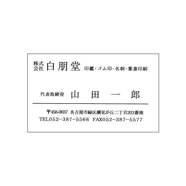 名刺/事業内容入りタイプ 100枚入 ケース付 : モリモリ元気