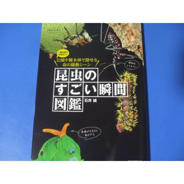 昆虫のすごい瞬間図鑑　一度は見ておきたい！公園や雑木林で探せる命の躍動シーン