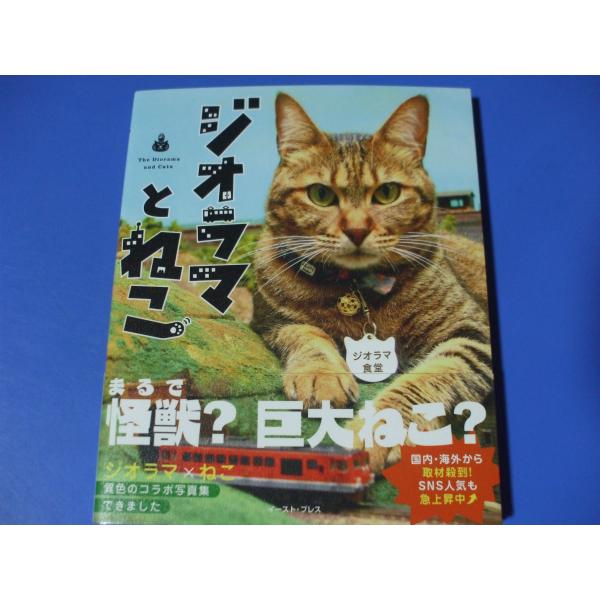 ジオラマとねこ