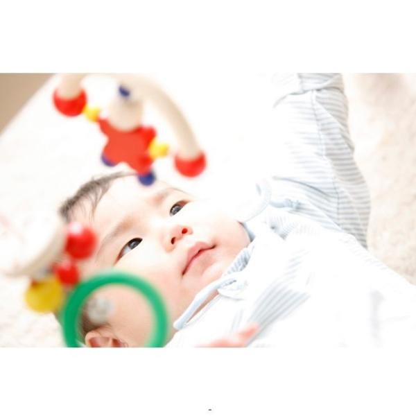 morinokobito_4861047_1_d_20250825100116