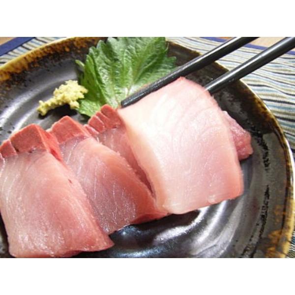 石川県 天然寒ぶり短冊