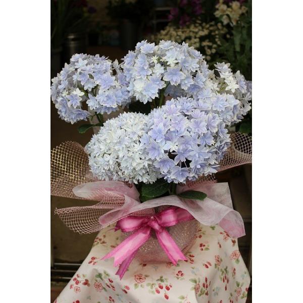 16 剪定植え替えアジサイ 万華鏡 赤色 青色変え肥料 普通肥料入り骨粉付 ６号ロングスリット 16ajimangeh45 森農園ネットショップ 通販 Yahoo ショッピング