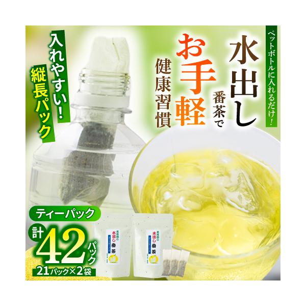 水出し番茶 茶葉 健康習慣 スティック型 緑茶 ティーバッグ 2袋セット 1袋21パック入り 計42パック お茶 ペットボトル