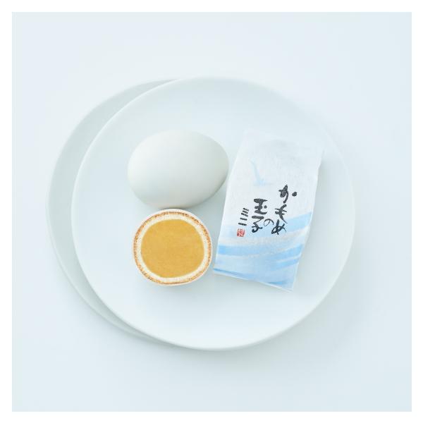 --------------------------------さいとう製菓株式会社----------------------------南三陸の大自然のキャンパスに悠々と翼の筆を走らせるかもめたち。南三陸を代表する銘菓「かもめの玉子」は...