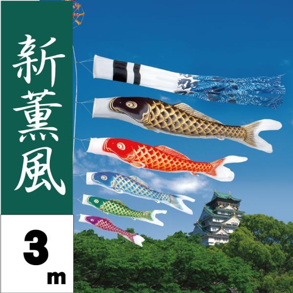 ̂ڂ V ̂ڂ VO 3m 8_ 5C ^Zbg |[ʔ