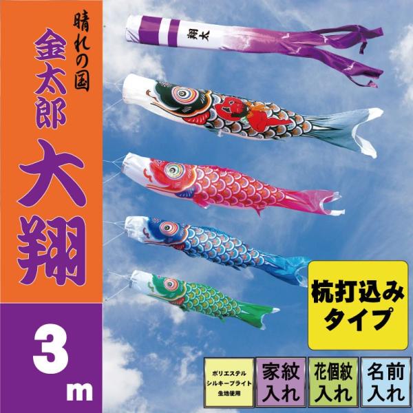 ̂ڂ i ̂ڂ Y 3m 7_ 4C Yō݃^Cv i 뉀K[fZbg