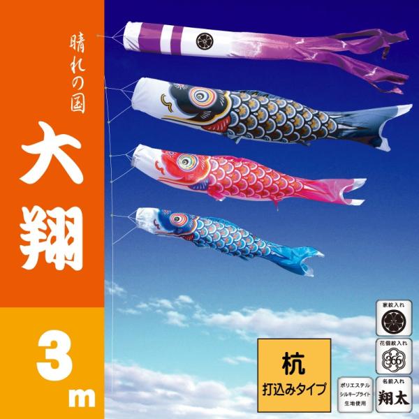 ̂ڂ i ̂ڂ  3m 6_ 3C Yō݃^Cv i 뉀K[fZbg