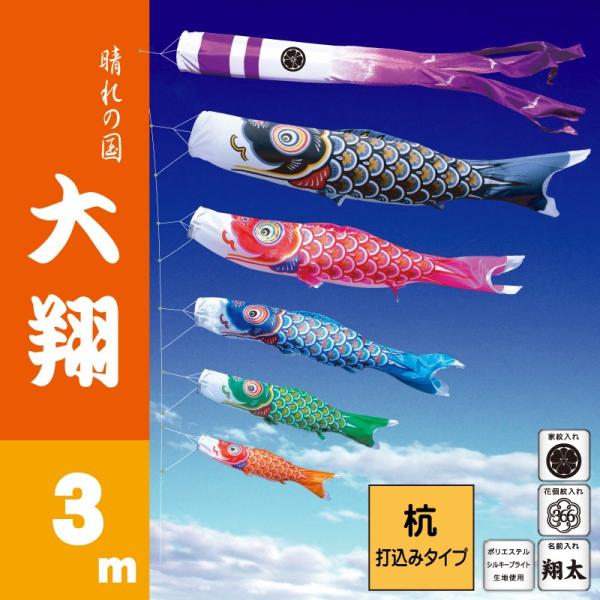 ̂ڂ i ̂ڂ  3m 8_ 5C Yō݃^Cv i 뉀K[fZbg