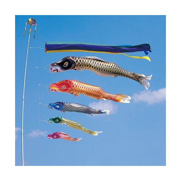 ̂ڂ ь ^ix ̂ڂ ] 8m 8_ 5C ܐF  ^Zbg |[ʔ