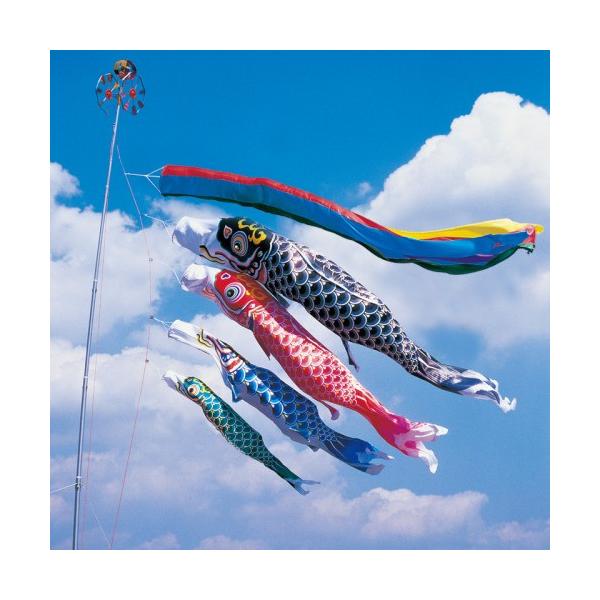 ̂ڂ ь ^ix ̂ڂ H 7m 7_ 4C ܐF  ^Zbg |[ʔ