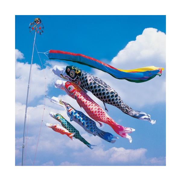 ̂ڂ ь ^ix ̂ڂ H 6m 8_ 5C ܐF  ^Zbg |[ʔ