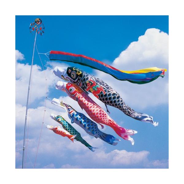 ̂ڂ ь ^ix ̂ڂ H 6m 8_ 5C Yt ܐF  ^Zbg |[ʔ