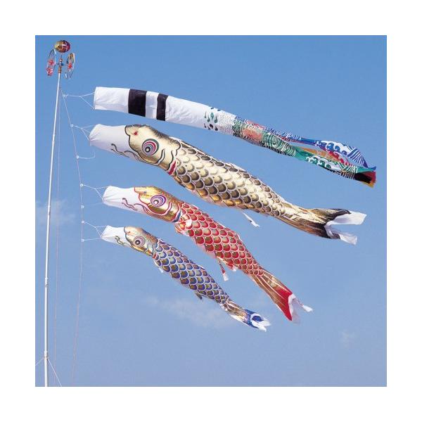 ̂ڂ ь ^ix ̂ڂ  7m 6_ 3C 򗴐  ^Zbg |[ʔ