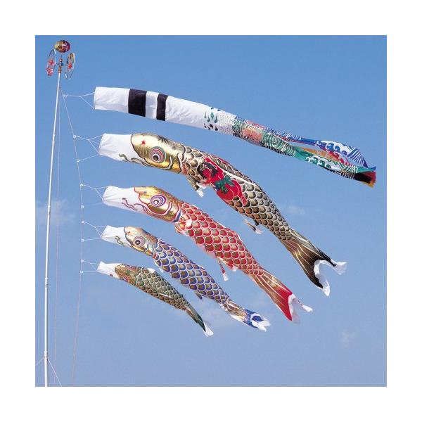 ̂ڂ ь ^ix ̂ڂ  5m 7_ 4C Yt 򗴐  ^Zbg |[ʔ