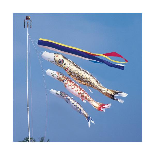 ̂ڂ ь ^ix ̂ڂ  8m 6_ 3C ܐF  ^Zbg |[ʔ