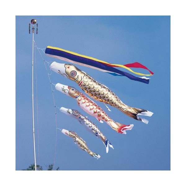 ̂ڂ ь ^ix ̂ڂ  7m 7_ 4C ܐF  ^Zbg |[ʔ